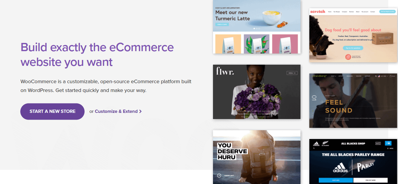 The WooCommerce home page.